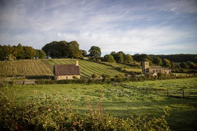 Green rolling fields landscape of Beamish Museum