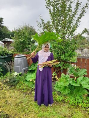 Woman standing in a garden holding large sticks of rhubarb. 