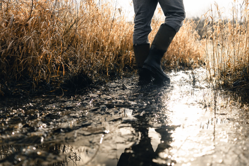 A person's legs walking through a muddy field in wellington boots